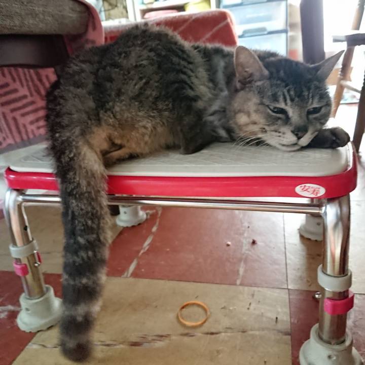 4f537800 a74d 45fe a138 9ec37c3383e9 1590184687061