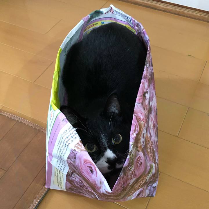 4f53e7ed cff8 41c4 937d de61783e1d68 1612755086602