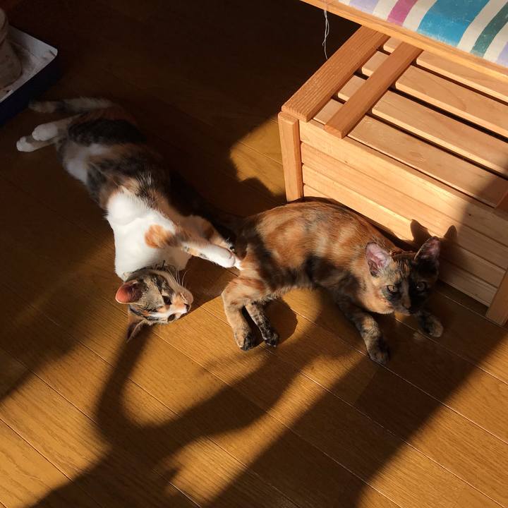 4f53fd79 7399 4afd 9380 ff469ef7f592 1604708002758