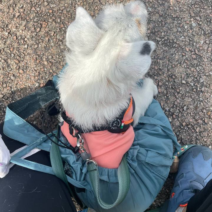 4f5428ef c59e 430b 849c 3d6fea42f2ee 1779840139405