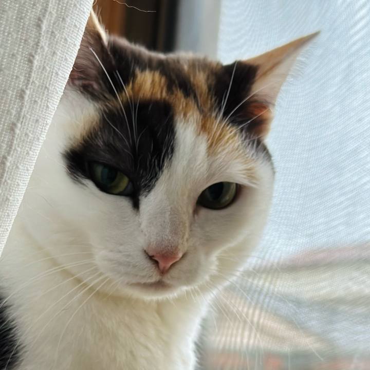 4f546173 2c31 47b3 a1b8 8c87452ce178 1680916970692