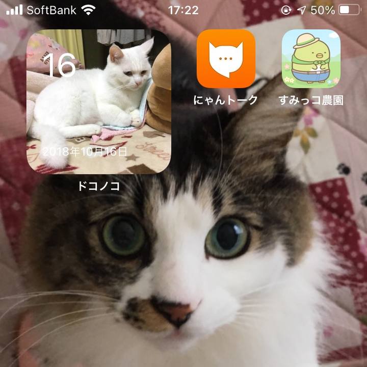 4f546f23 bc67 4791 b9b4 99ccb6daa5ce 1634372605638