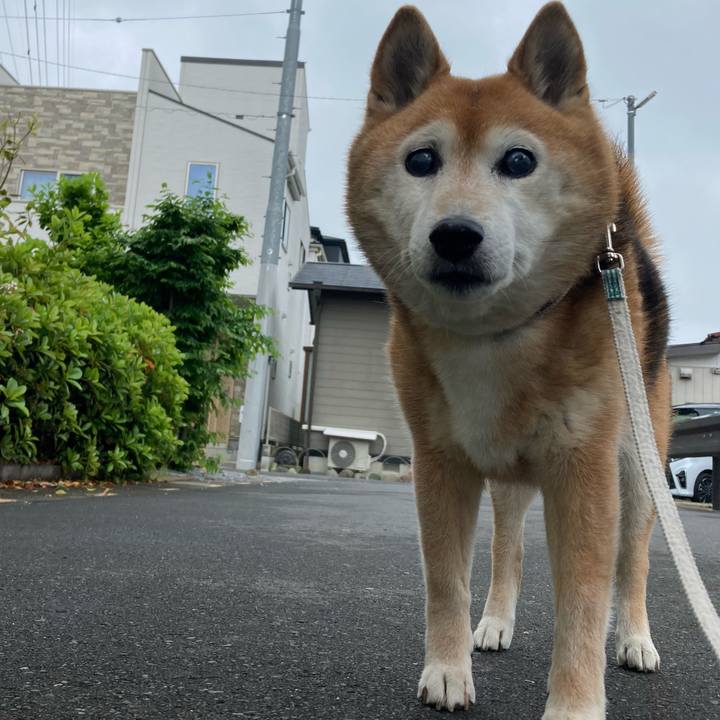 4f549ac1 fbd3 45c1 8ce0 6df58efc5de3 1747035881670