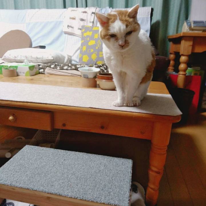 4f549ed2 319f 4f23 ba69 55cdda24f1b0 1586952207791