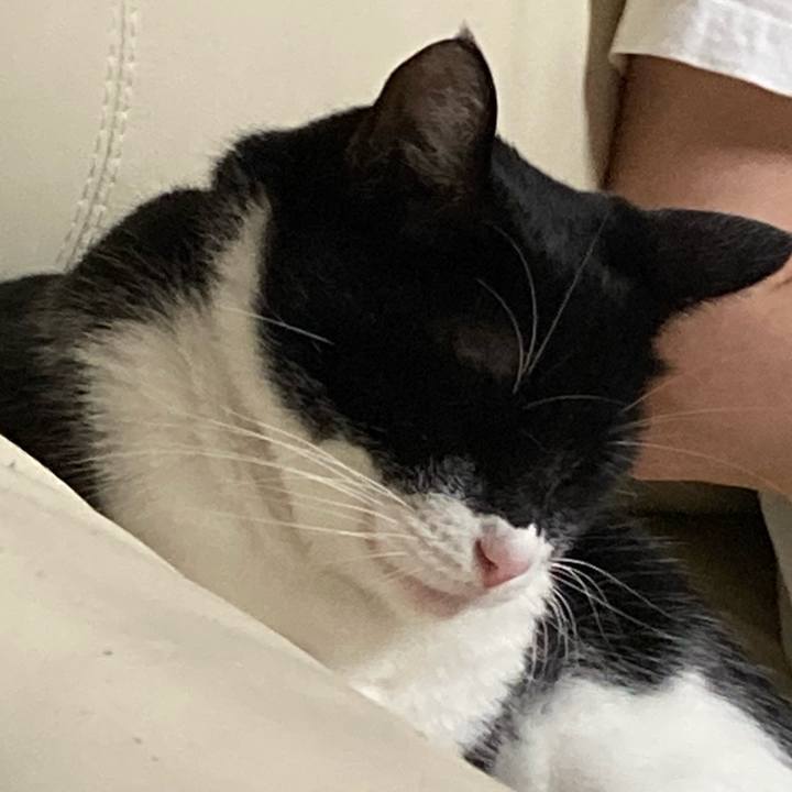 4f54a89e ba5f 4cb3 ba21 0e8776d4c224 1629260853619