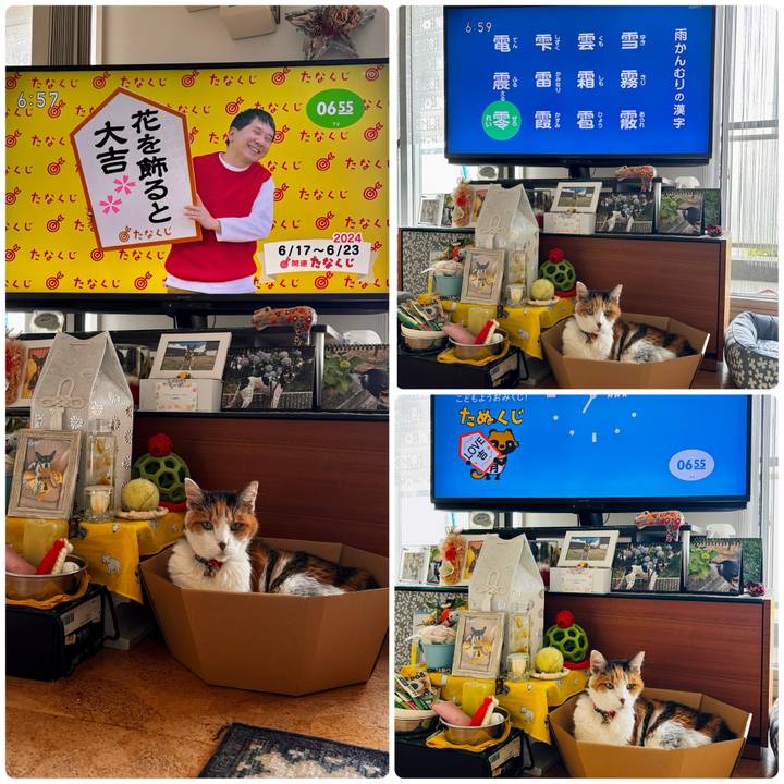 4f54bfc6 471e 4321 8e3f 984c8fcbd953 1718576343816