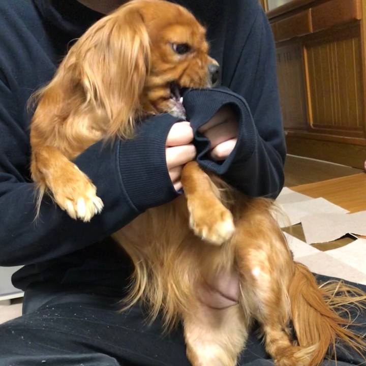 4f54dad9 7ac3 46f9 8d7b e8557997dabc 1546947822511