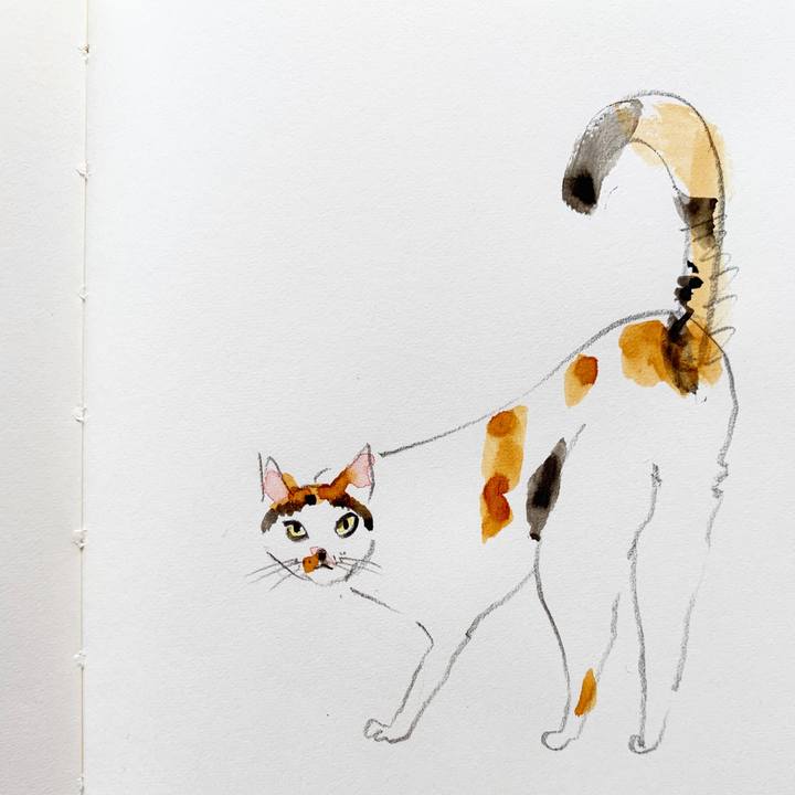 4f54f0b3 18a0 4efd 922c 414f52c7a705 1600149211008