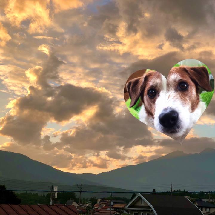 4f54f87c 5b6d 4aae 8081 ce29cb9c310d 1597052496322