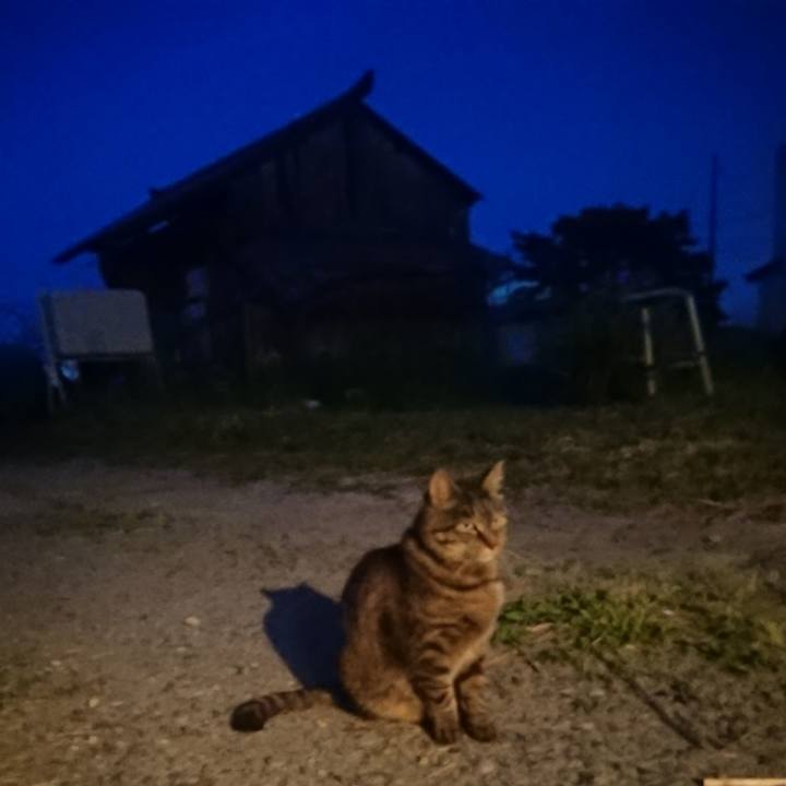 4f5514f8 b4cb 4c39 afd9 4bf5871f51c5 1654427247004