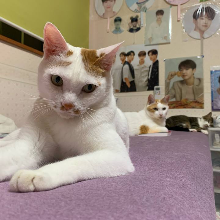 4f554d11 173e 4459 8eec adc923966cbb 1623620466000