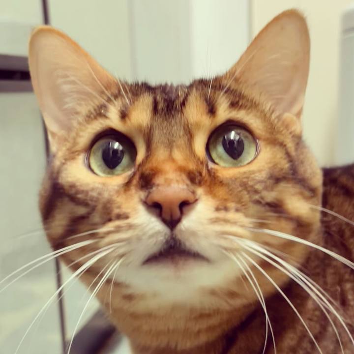 4f554ed0 0c5f 4cf7 9cbc f0fd3b15505b 1636173247419