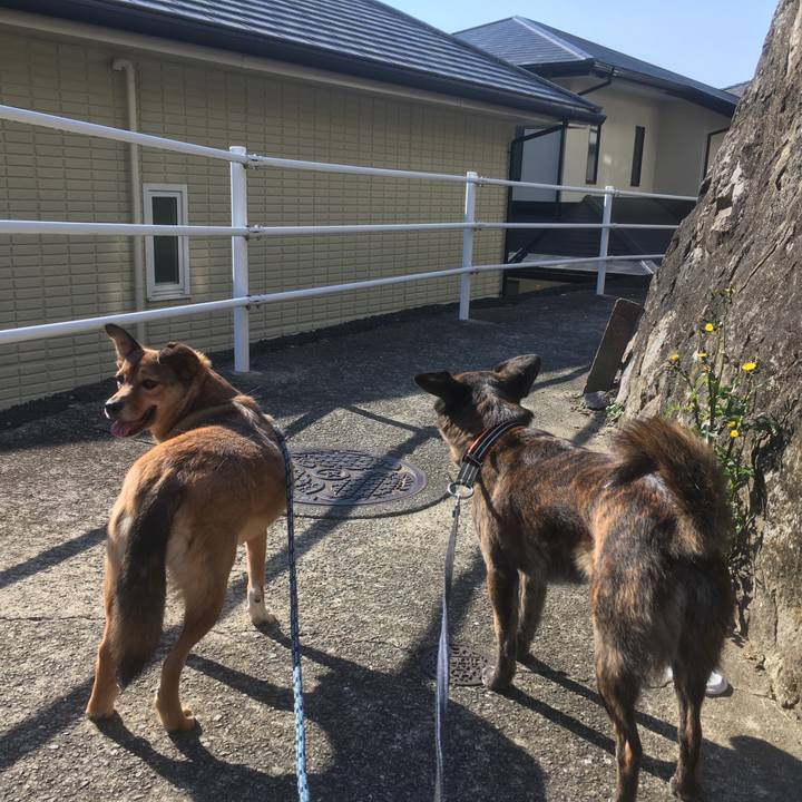 4f555396 509d 4ca3 89a5 0d545051a7e4 1547261132985