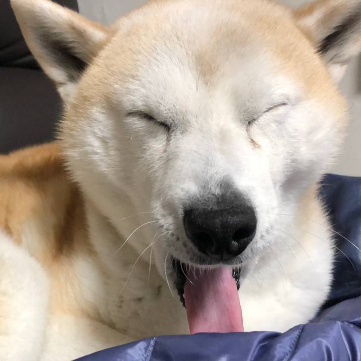 4f556339 5196 4924 ad5c c3d45ee4dacb 1553913057514