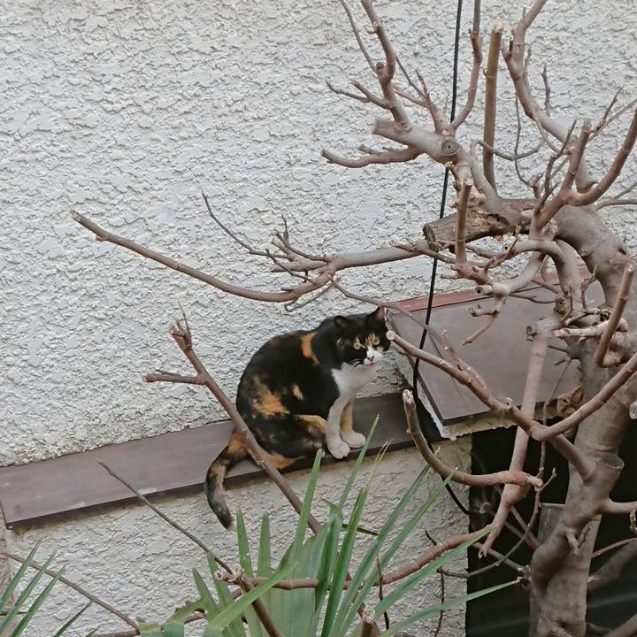 4f559c56 8f0e 4fc0 80f5 267fa13e86f5 1646100161587