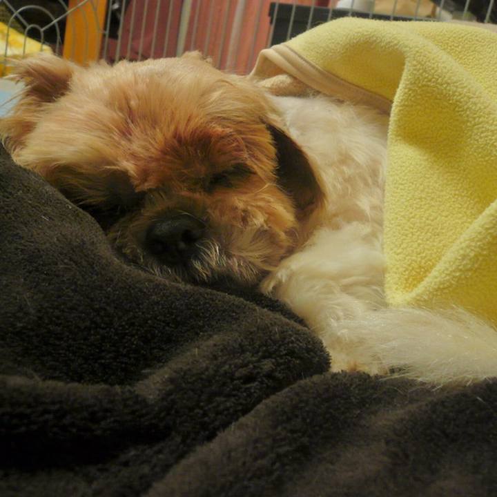 4f55a078 e3dc 4783 b62a 13939541f004 1558403405703