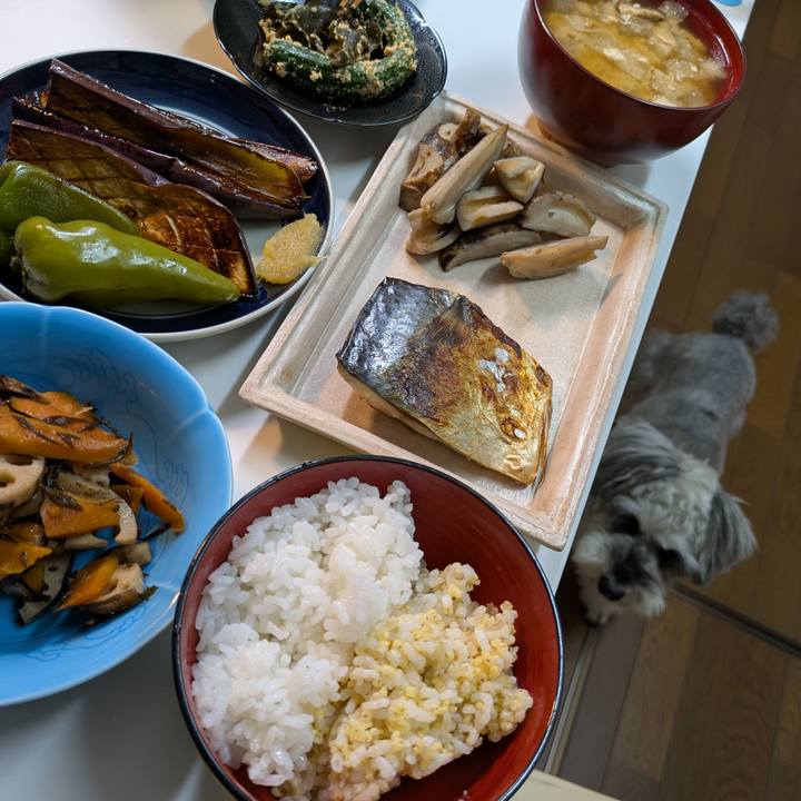 4f55e8e3 d2bf 447d b761 1450eb275a7c 1757850776385