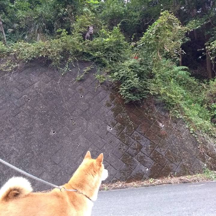 4f55f1f8 8d96 4f93 98fd 8bb97bc4f199 1569838811917