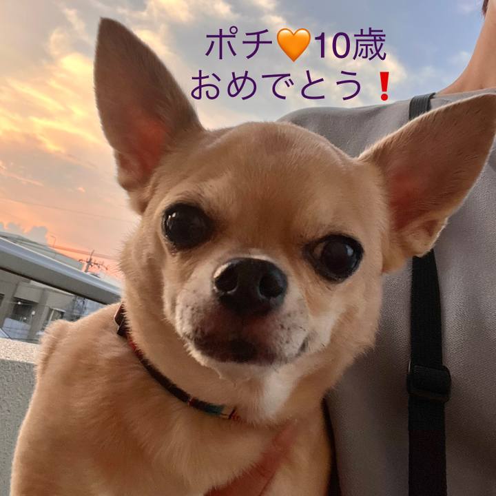 4f55f890 f36c 4502 b3b1 e0f895dc7b16 1694596865748