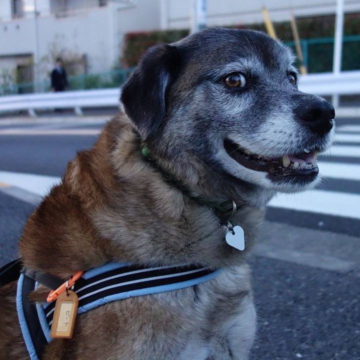 4f562816 dbc5 44de 8c2f c1c7dc65a671 1524057868797