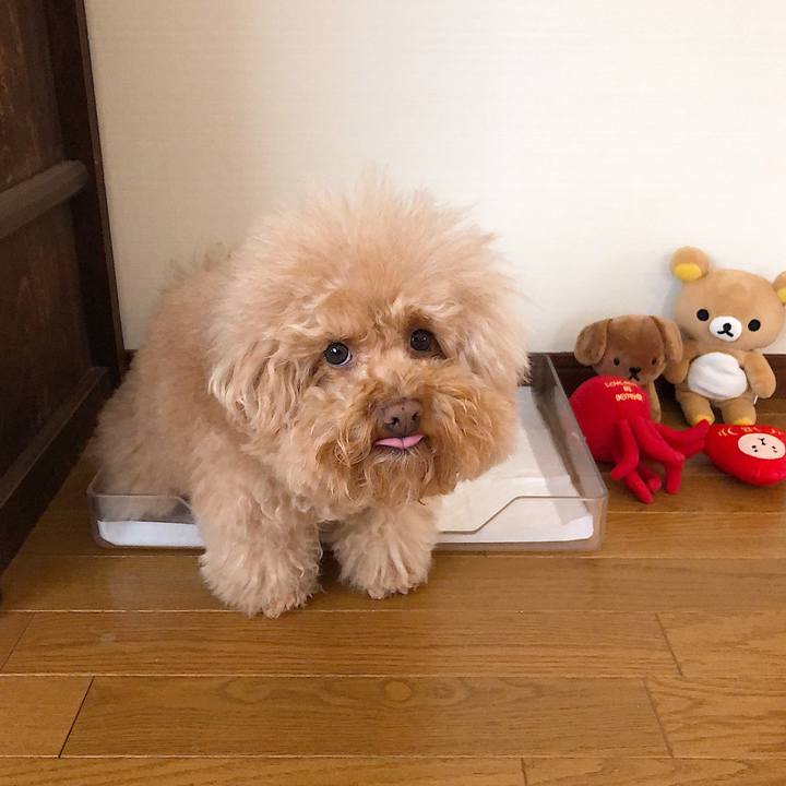 4f56acb6 3f93 49c6 b5aa e88cf909b27d 1551673393711