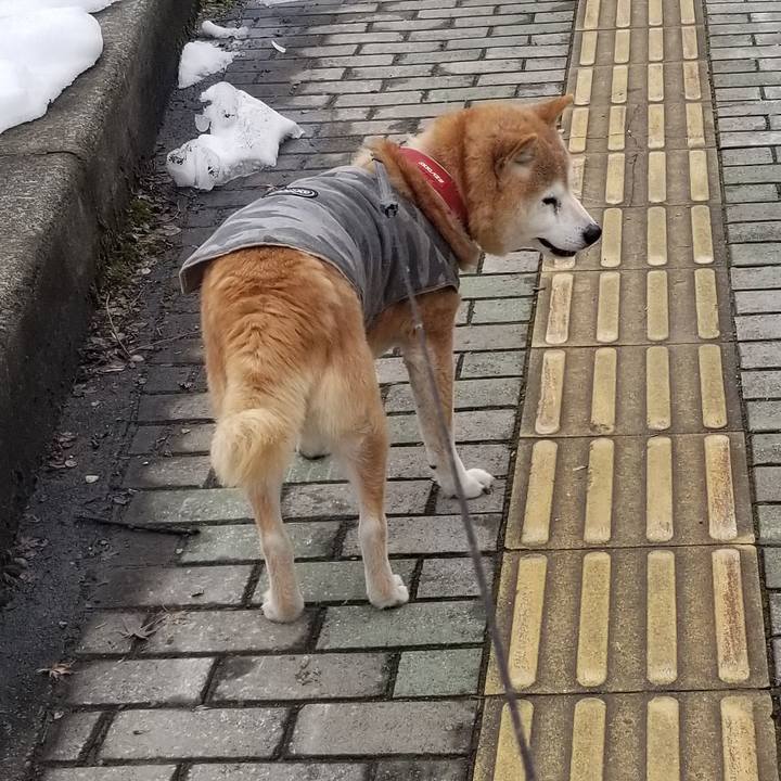 4f56b769 cb94 44ca a3e9 44bc0a2907b4 1737686633342