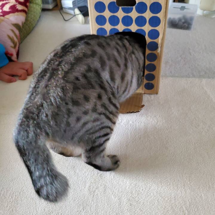 4f56bceb f773 472b a33e a331430f4fe4 1697941586921