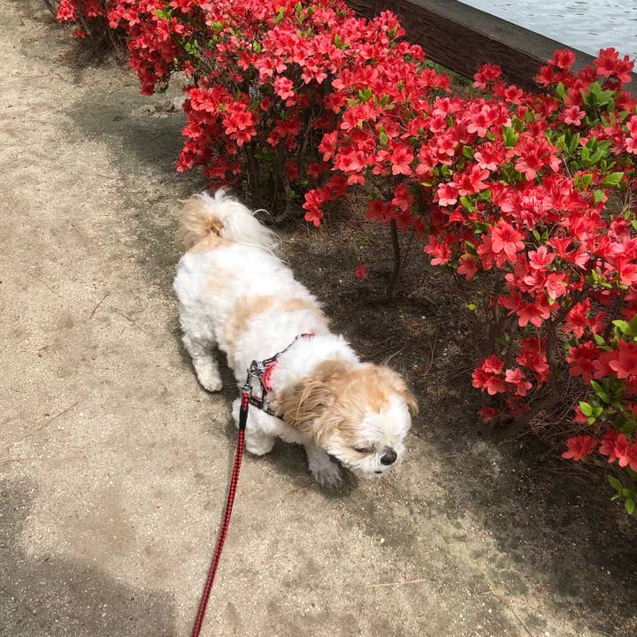 4f56dcc3 1302 49a1 88f1 979847ff7649 1617573491827