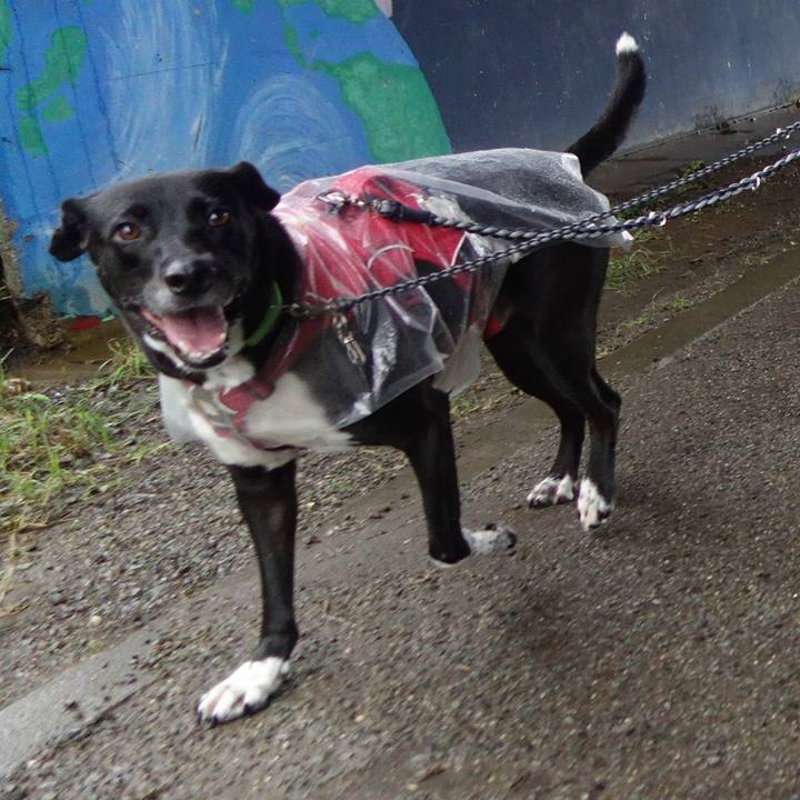 4f56e037 86e1 4e08 8044 f86d18d1fa74 1628984297664