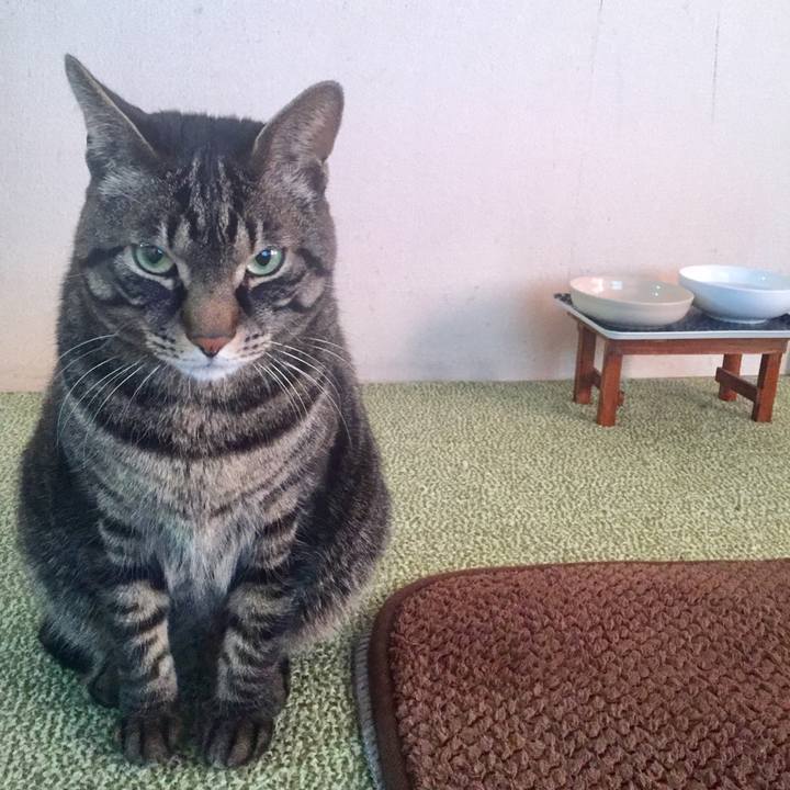 4f56e178 cbdd 466c b61a cf75c74d9886 1521094685580