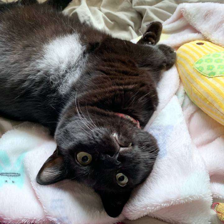 4f56e67f b6d5 495b a2c7 c2baf99ec255 1563430511450