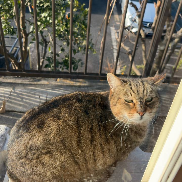 4f571d76 1978 4a46 8640 c6bd34160962 1771808791484