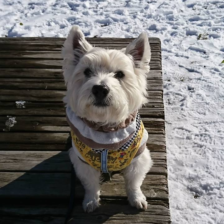 4f573e4b 1c64 4aff b7e7 7b694736fb5b 1514643443626