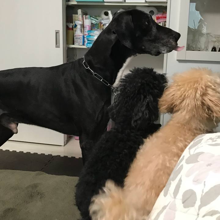 4f5753d7 c029 4f6c a0a4 c651edce4ebe 1510095182422