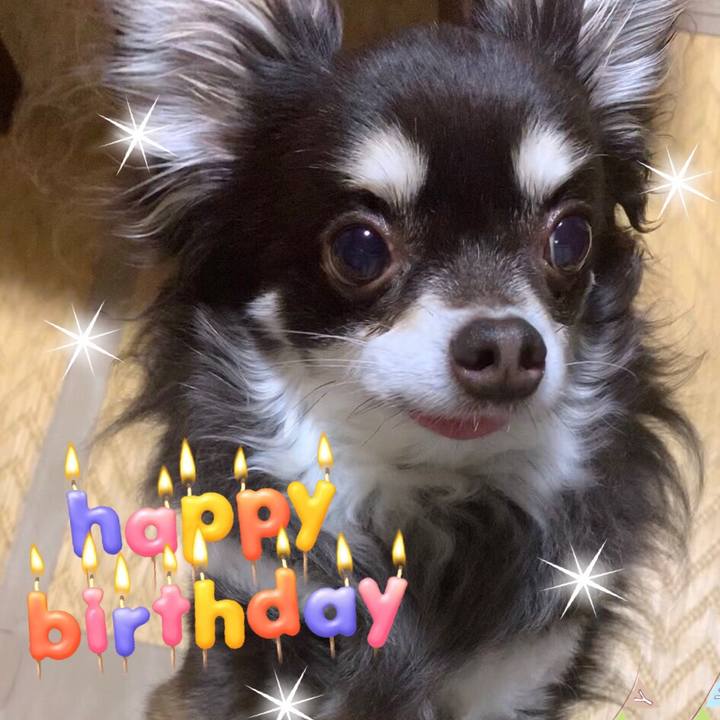 4f575e92 dd62 4452 accd 6cc97749b32d 1557058912481