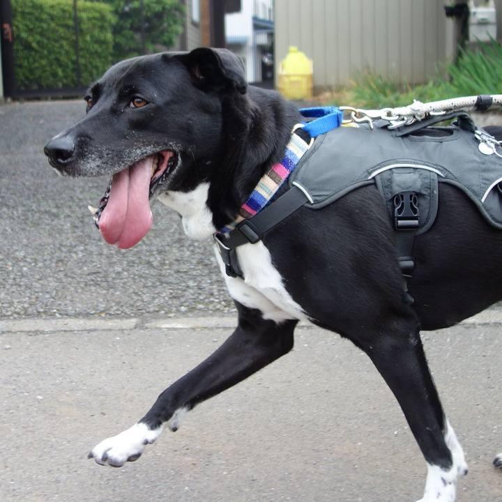 4f57a777 ebac 4759 8fb8 e07583acf7e3 1653266487736