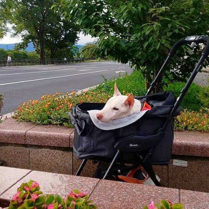 4f58347d 5f2a 42b2 81ab 581a74a1447d 1630888922225