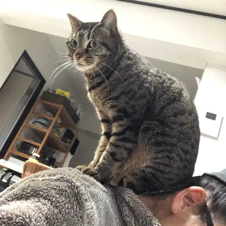 4f588a26 3e60 4c5a a5df c325feb053ec 1587565397565