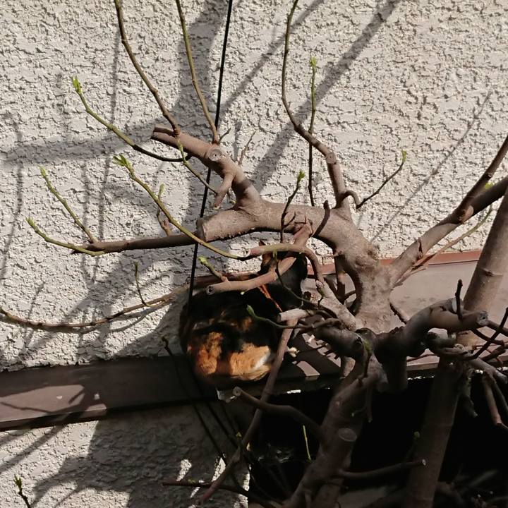 4f588f20 bcce 47e9 bef5 77cda54cfeb2 1584840251320