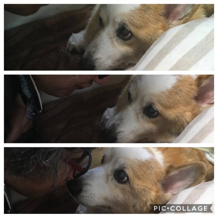 4f589da3 aac5 42b4 84b2 d9e44acc071b 1578793419515