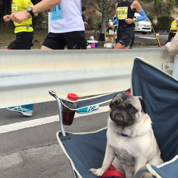 4f58c88a 6320 4c7a b1db f3a4b8ff28c9 1521030618825