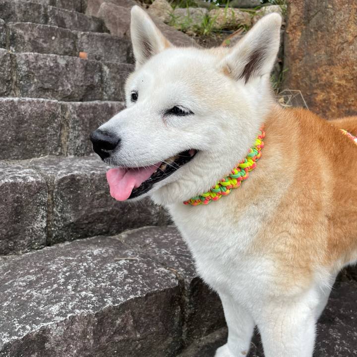 4f58eaff 6698 4d92 ac27 315a2d8db985 1660261243174