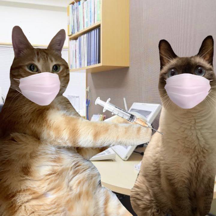 4f58fb65 f6d7 43bb 87ef e553178b16a5 1644230940313