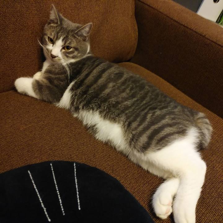 4f59195f 3522 4970 8c2a ff6c42f6b0fe 1576564154915