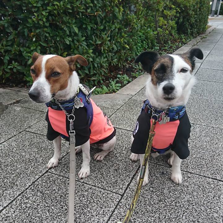 4f592d64 4140 4583 8f02 f79a4a27632f 1600814540816