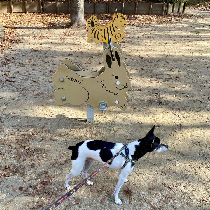 4f592e62 390b 4989 b39e 8cdf5cb80893 1607222403041