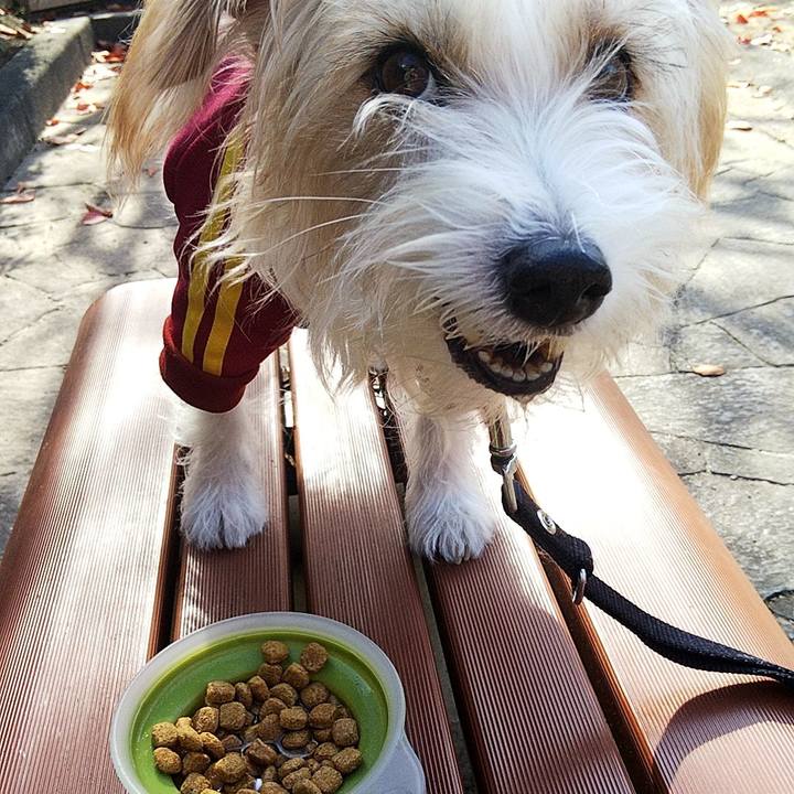 4f598c3c b710 4002 8b46 baa6aa814a80 1573968594938