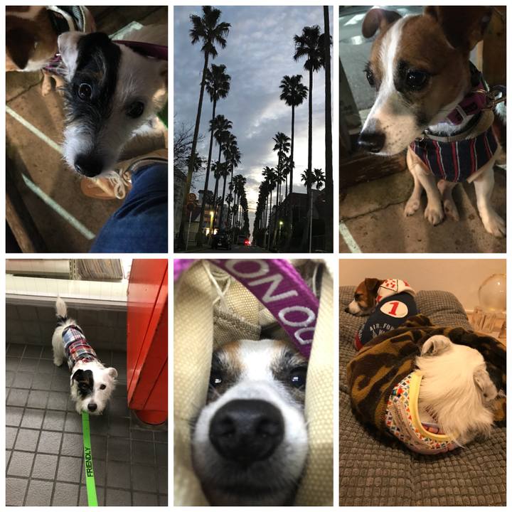 4f598ebc 439c 4d9e 8c95 f7dc5fc6ae42 1509714801585