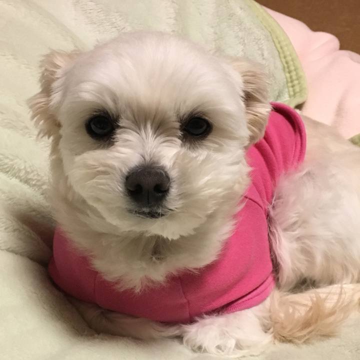 4f59d74d 2369 4ada 8436 4ef0239841fd 1514892413178