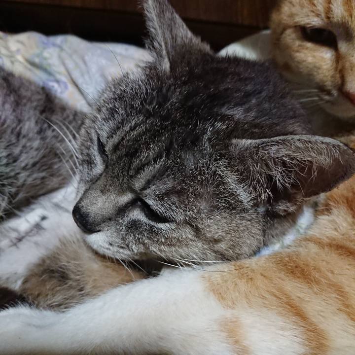 4f59ecf8 c75a 4e19 a057 74a094eb3863 1589716662237